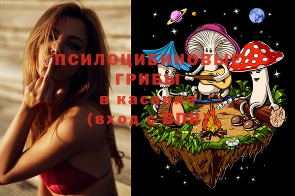 молекула духа Беслан
