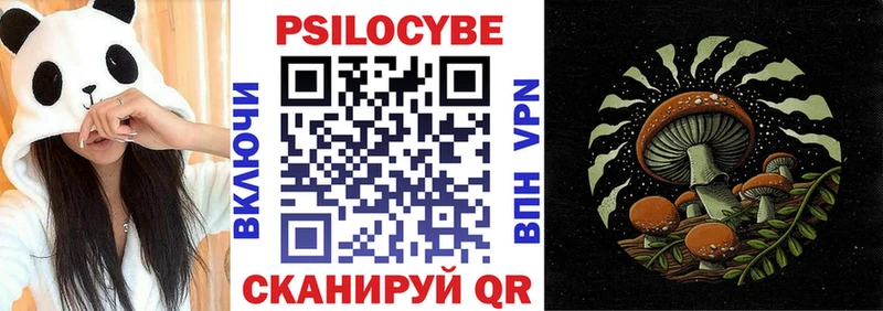 MEGA как войти  наркота  Шумерля  Псилоцибиновые грибы Psilocybe 